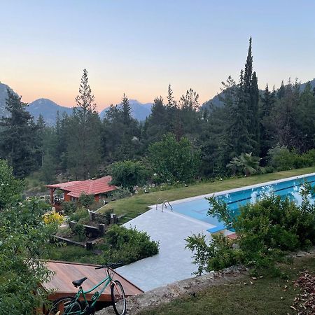 Trinitys Forest Bungalows Kemer Exterior photo