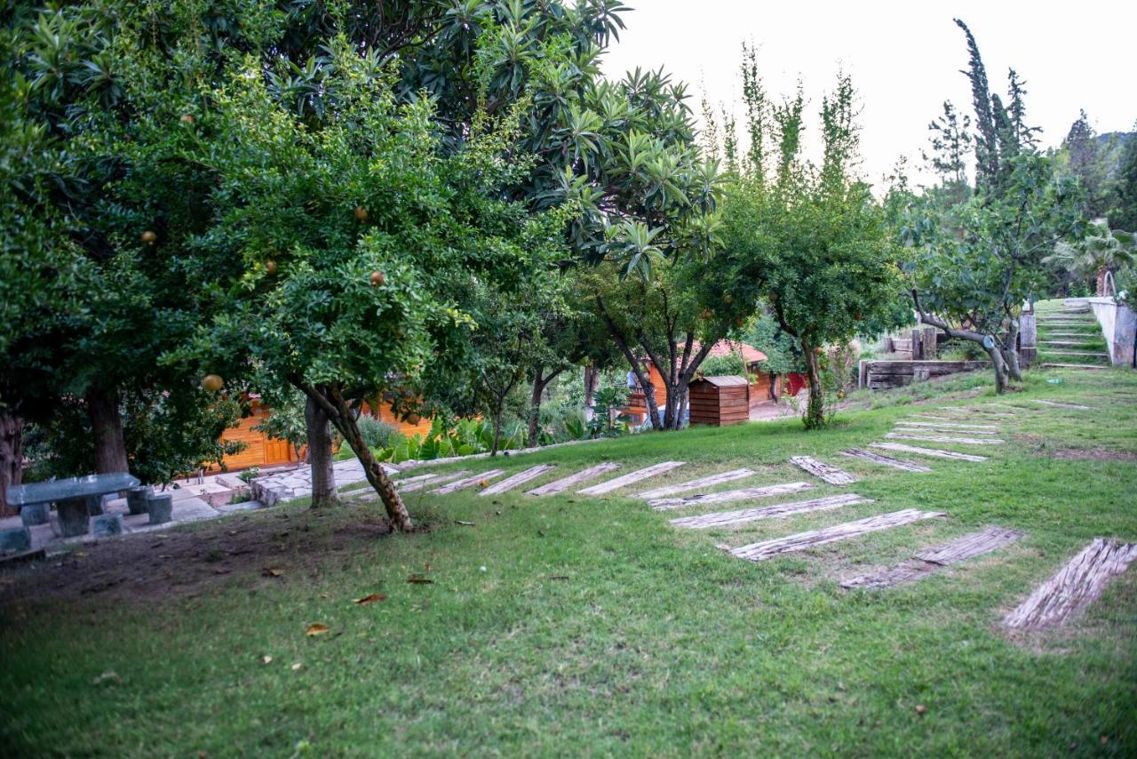 Trinitys Forest Bungalows Kemer Exterior photo