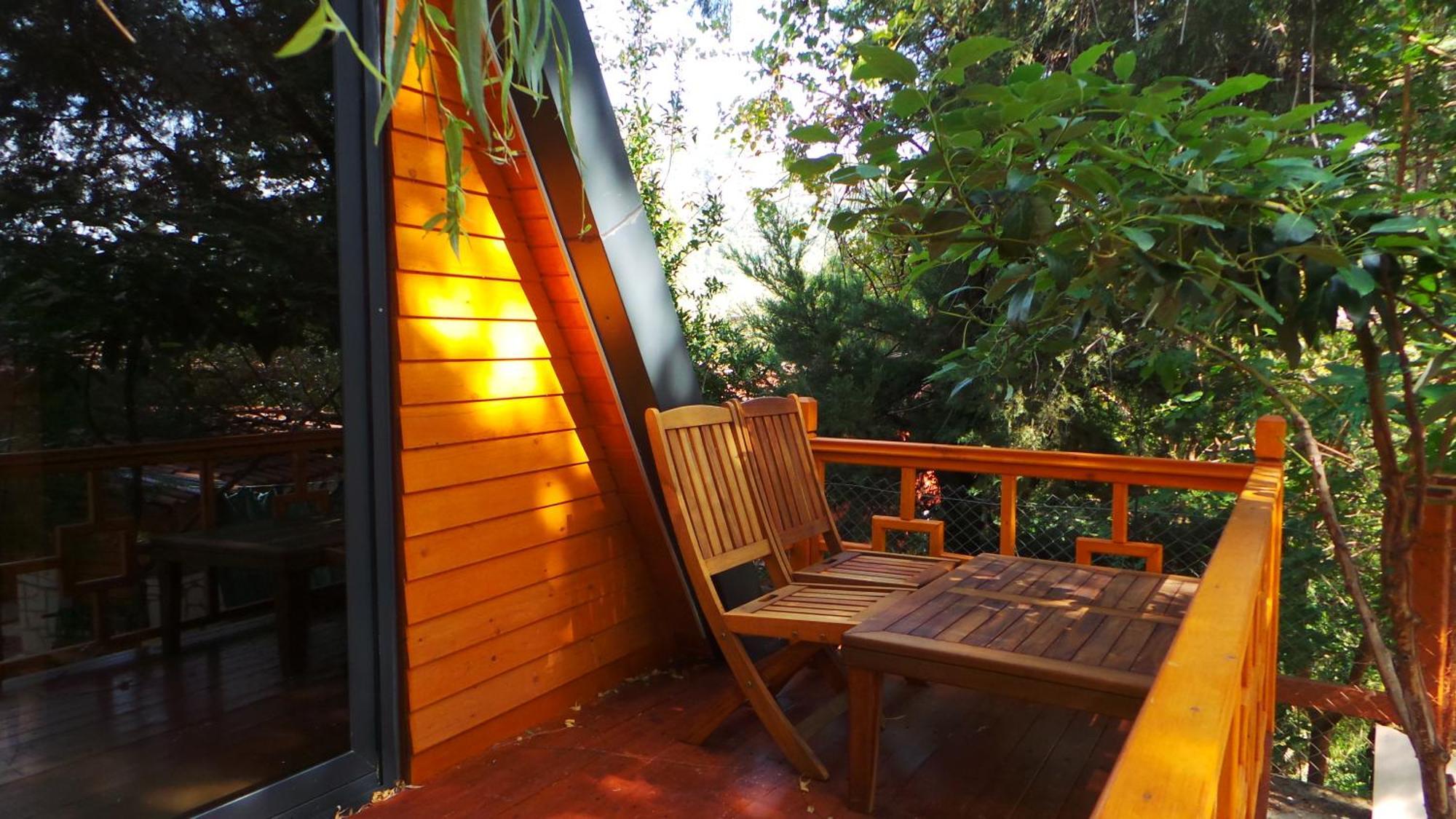 Trinitys Forest Bungalows Kemer Exterior photo