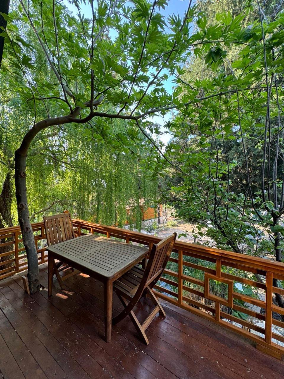 Trinitys Forest Bungalows Kemer Exterior photo